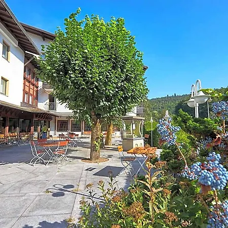 Hotel Flair Dobrachtal 3*